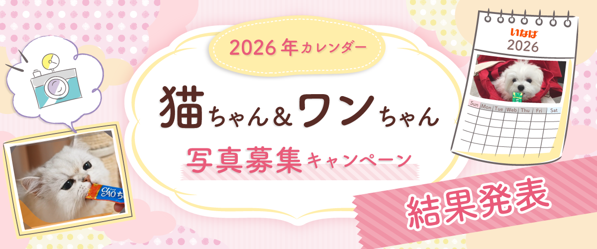 2026年カレンダー猫ちゃん＆ワンちゃん写真結果発表