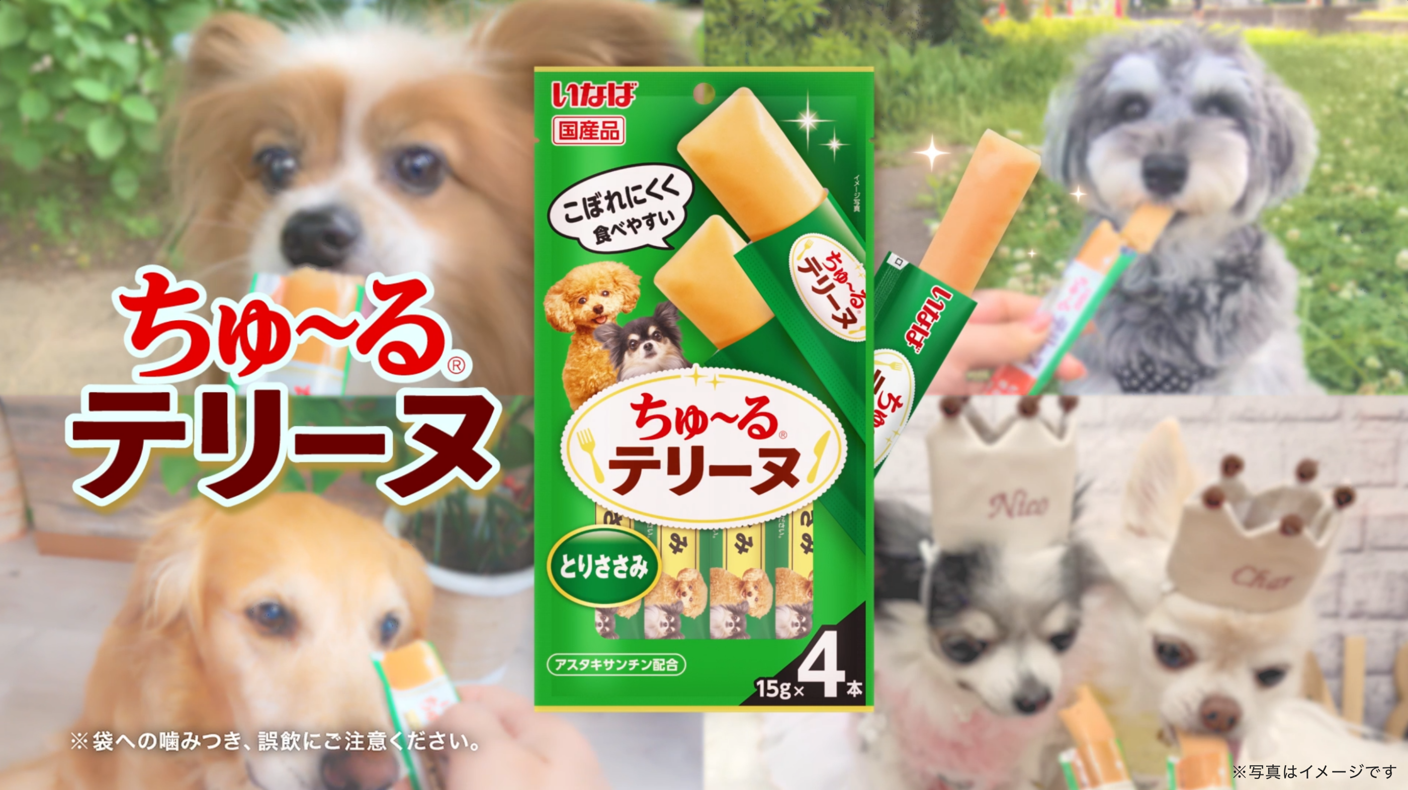 キャットフード