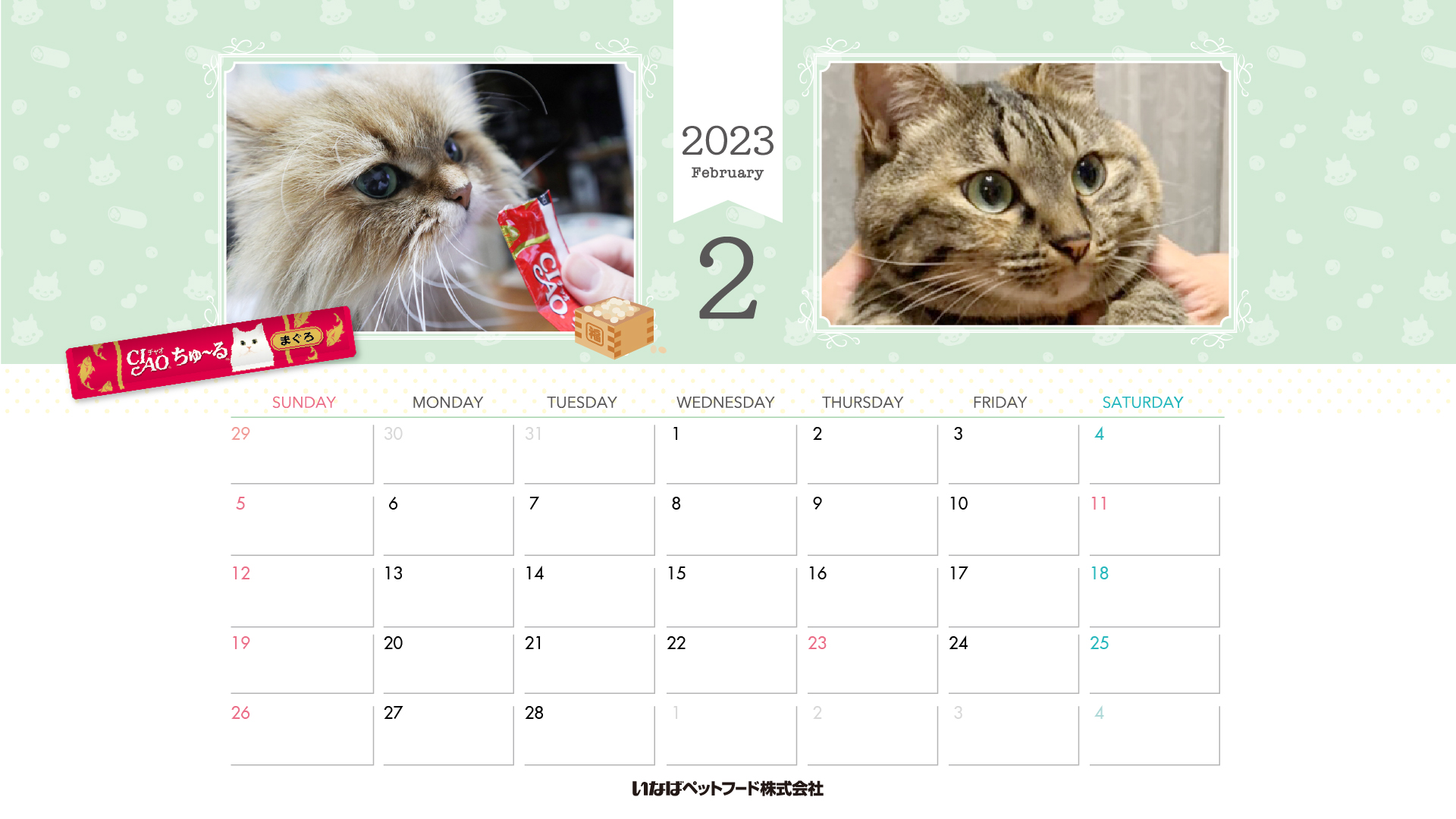 2023年1月猫