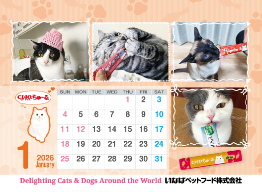 2026年1月猫