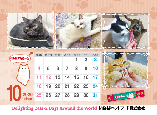 2026年10月猫