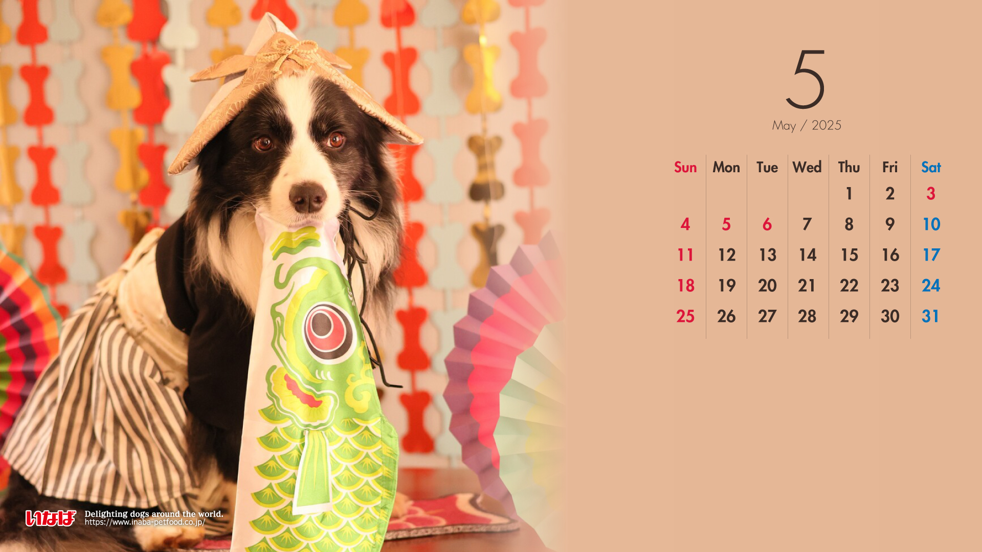 2025年5月犬