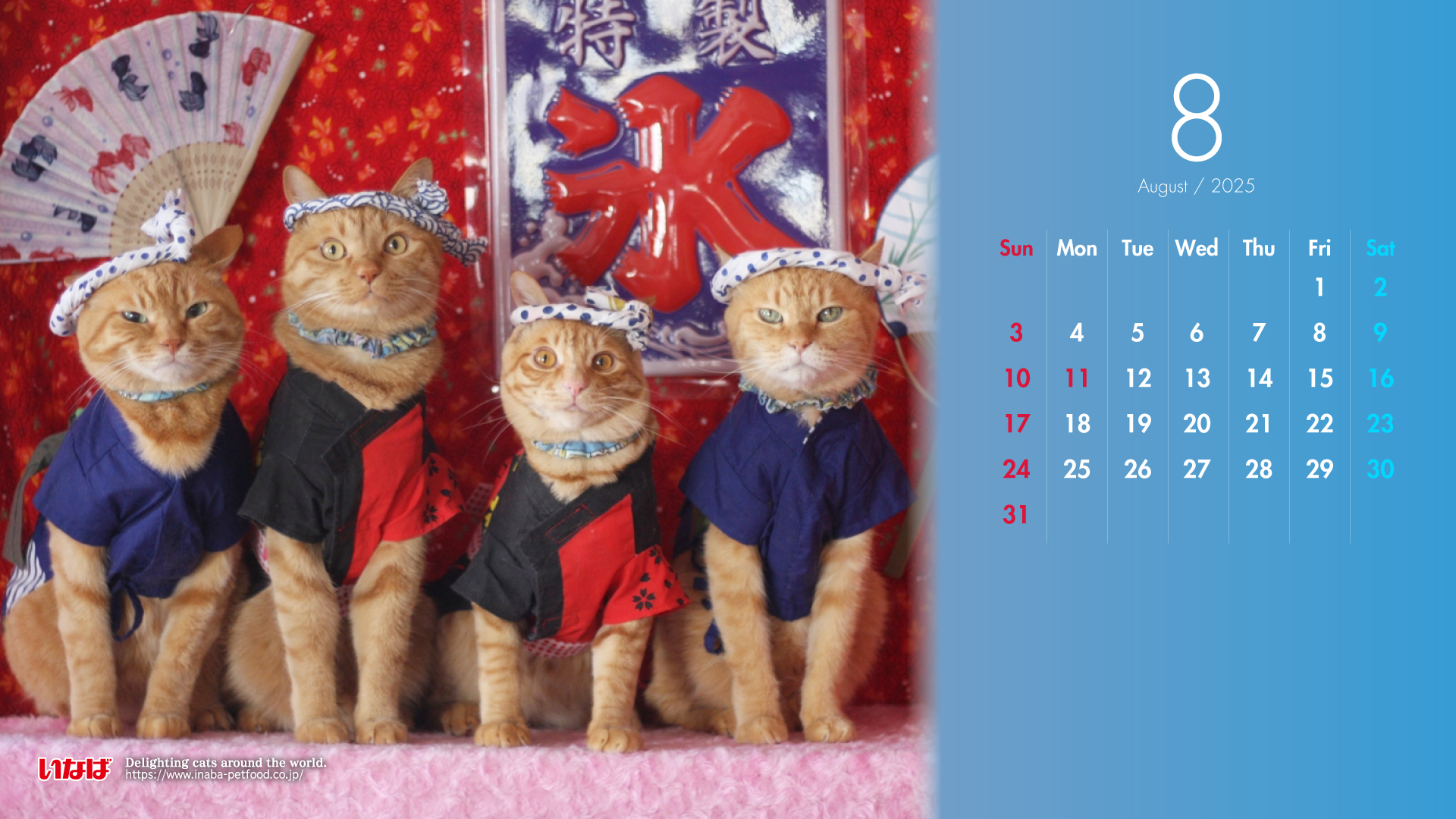 2025年8月猫