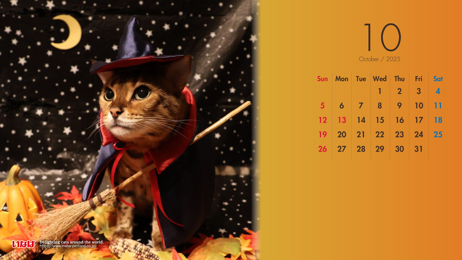 2025年10月猫