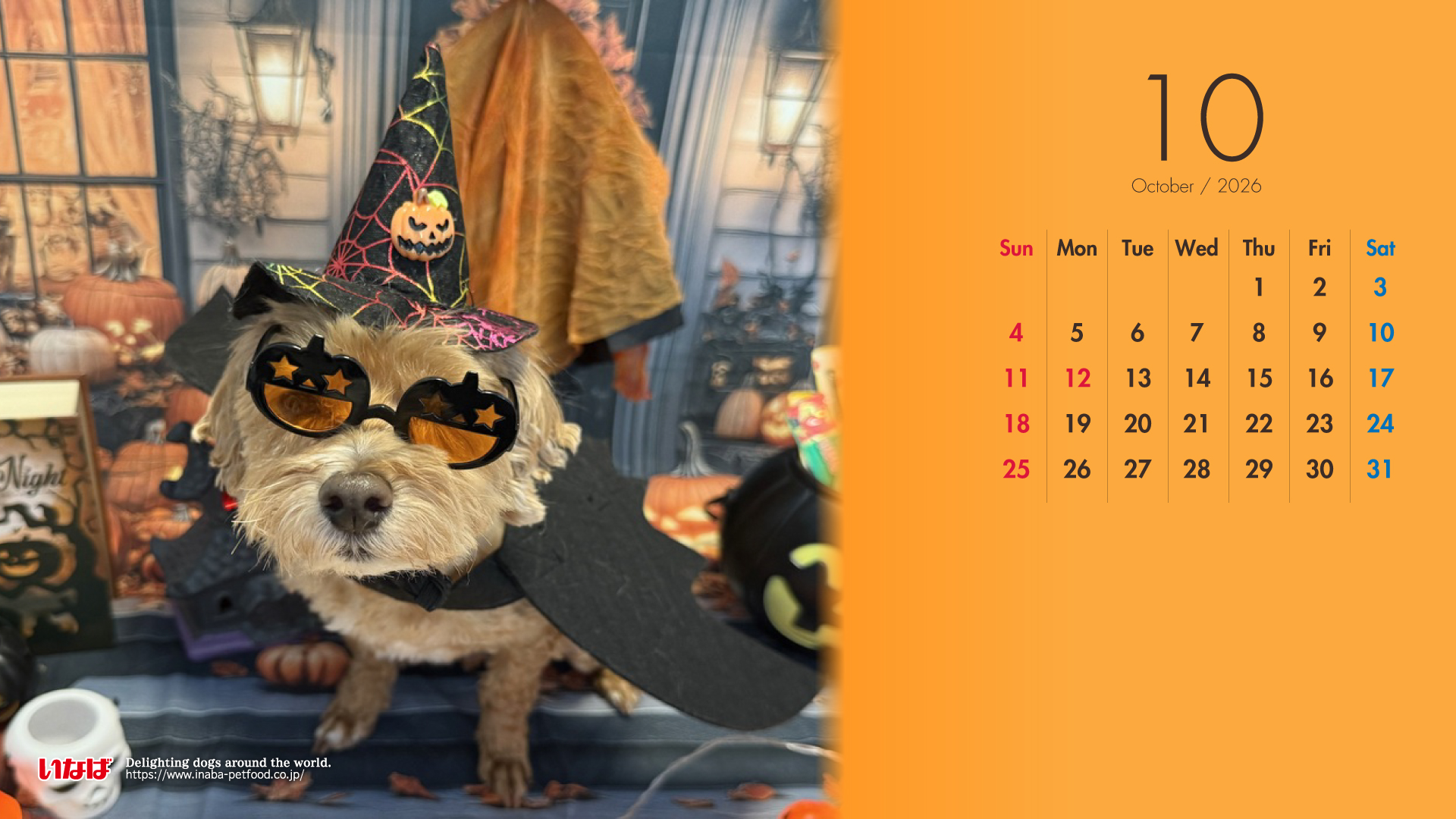 2026年10月犬