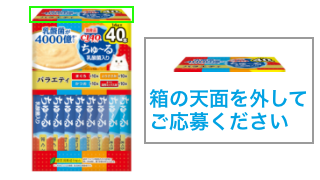 ちゅ～る乳酸菌入り40本入り(BOX)
