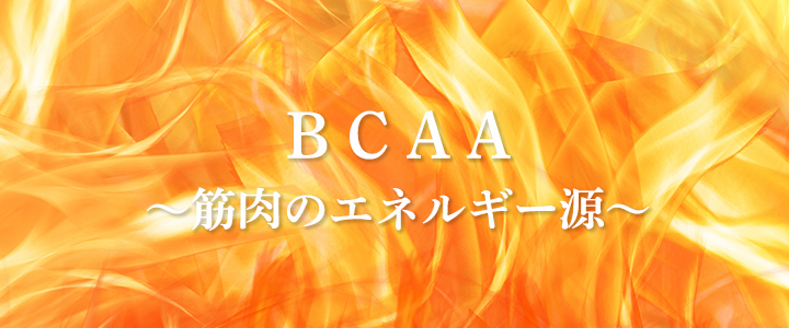 BCAA 筋肉のエネルギー源