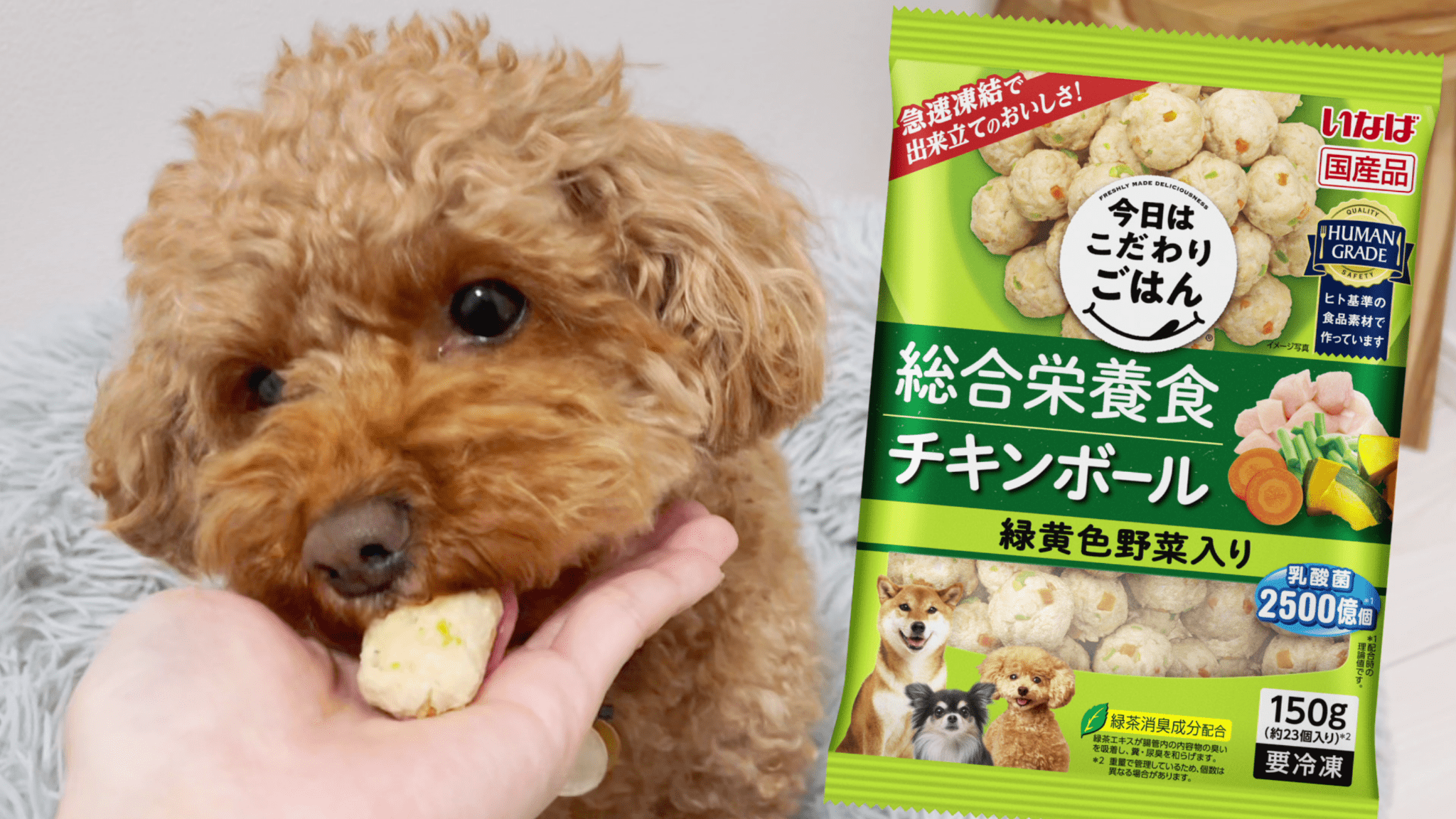 いなばの冷凍ペットフードの紹介