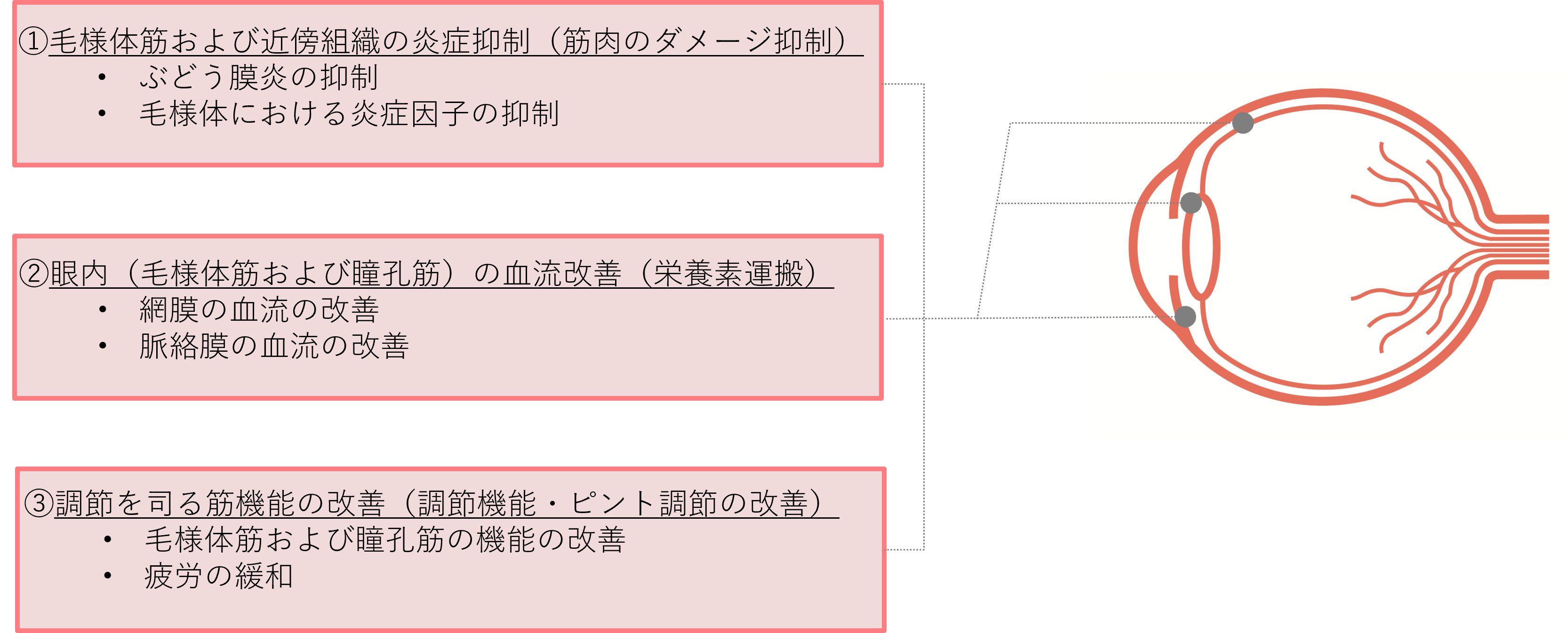 一重項酸素消去力