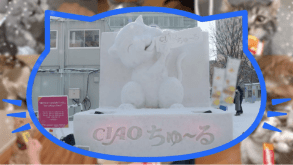 CIAOちゅ～る 2020年