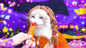 CIAOちゅ～る 2026年 ハロウィン篇 Part2