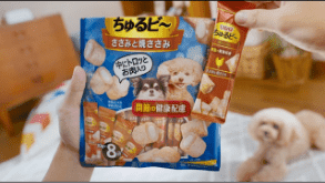 ちゅるビ～トイプードルも大大大好き！
