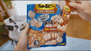 ちゅるビ～ボストンテリアも大大大好き！