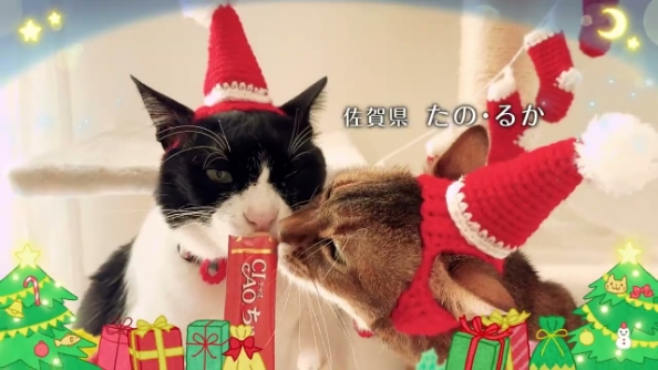 2024年CIAOちゅ～る クリスマス篇
