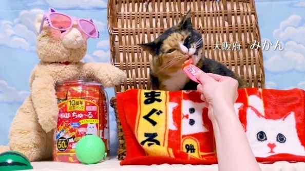 CIAOちゅ～る 2025年