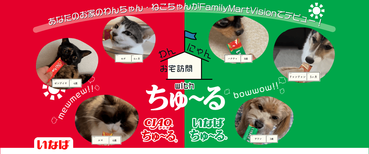 わんにゃんお宅訪問withちゅ〜る