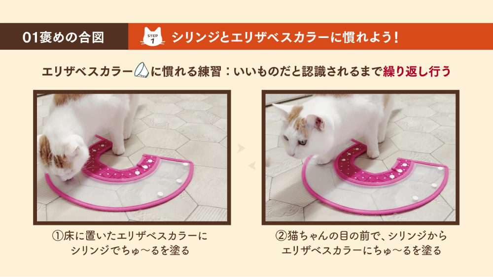 使い方動画　エリザベスカラー
