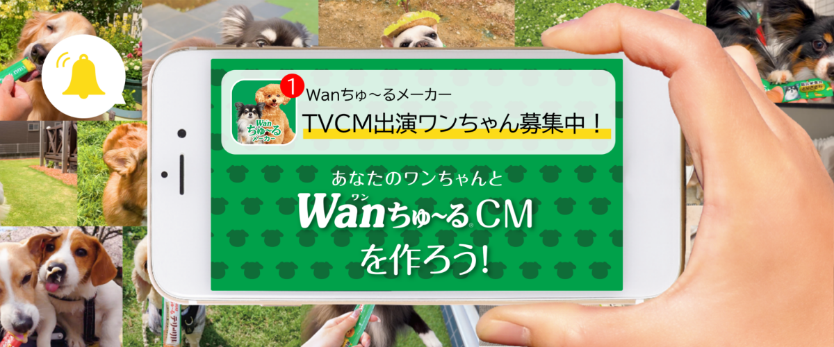 TVCM出演ワンちゃん募集中!