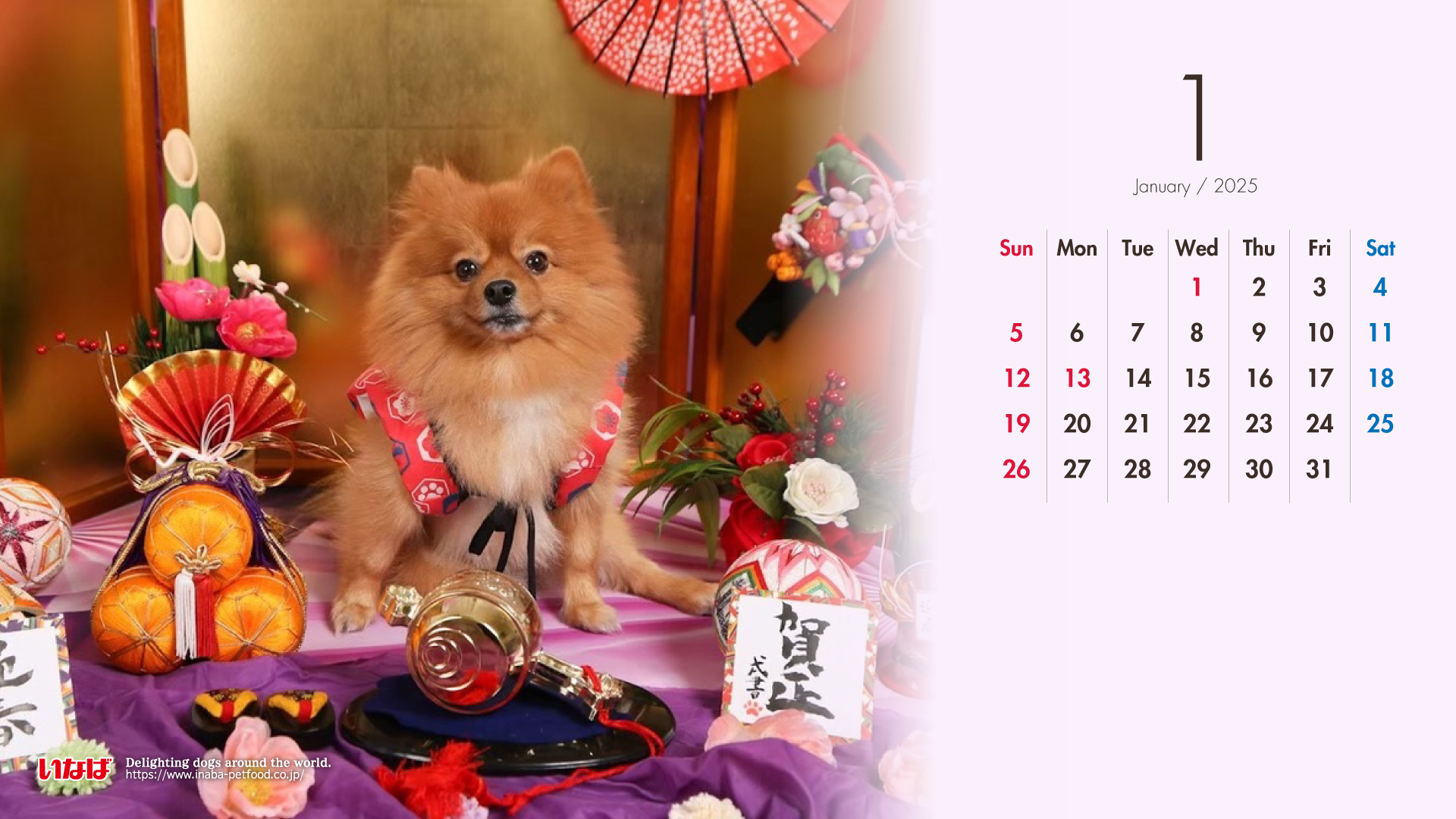 2025年1月犬