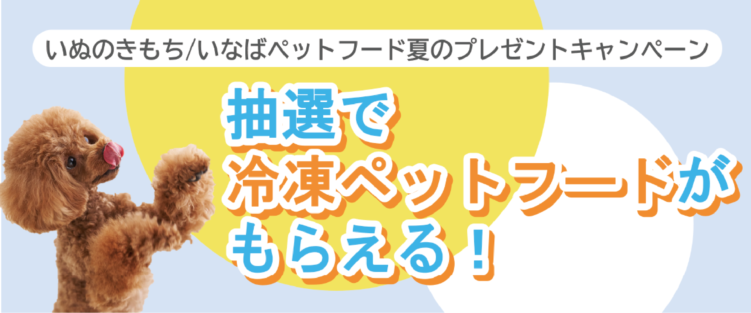 【無料】抽選で100名様にプレゼント!いなばの冷凍ペットフード4品がもらえるチャンス!