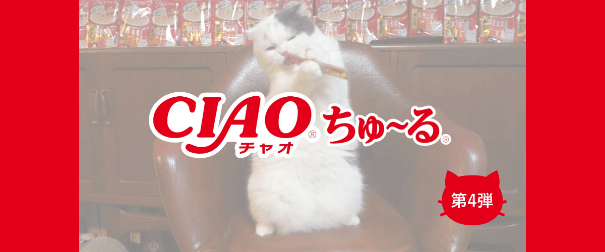 CIAOちゅ〜るMV「ちゅ〜るしよ！」第4弾 猫の日特別篇